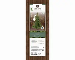 Everlands Grandis fir verlichte kunstkerstboom groen 180cm, 400 lampjes - afbeelding 8