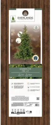 Everlands Grandis fir verlichte kunstkerstboom groen 180cm, 400 lampjes - afbeelding 2