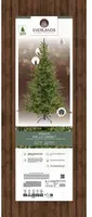 Everlands Grandis fir verlichte kunstkerstboom groen 210cm, 4200 lampjes - afbeelding 2
