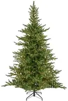 Everlands Grandis fir verlichte kunstkerstboom groen 210cm, 4200 lampjes - afbeelding 1