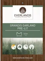 Everlands Guirlande Grandis - met verlichting 350 LEDs groen 2,7m - afbeelding 2