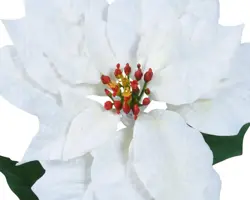 Everlands kunsttak poinsettia 67cm wit - afbeelding 2