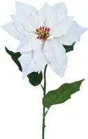 Everlands kunsttak poinsettia 67cm wit - afbeelding 1
