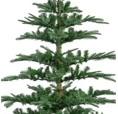 Everlands Nobilis fir kunstkerstboom groen 210cm - afbeelding 3