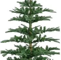Everlands Nobilis fir kunstkerstboom groen 210cm - afbeelding 3