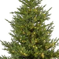 Everlands Norway grote verlichte kunstkerstboom groen 270cm, 1200 lampjes - afbeelding 2