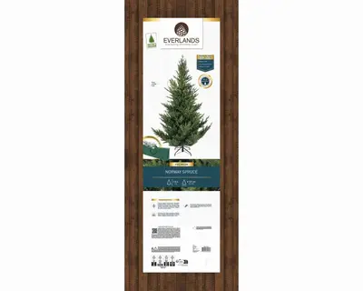 Everlands Norway spruce kunstkerstboom groen 180cm - afbeelding 8