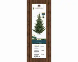 Everlands Norway spruce kunstkerstboom groen 210cm - afbeelding 8
