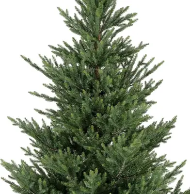 Everlands Norway spruce kunstkerstboom groen 210cm - afbeelding 2