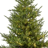 Everlands Norway verlichte kunstkerstboom groen 180cm, 700 lampjes - afbeelding 3