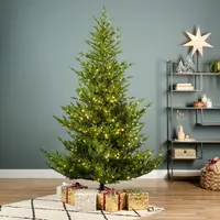 Everlands Norway verlichte kunstkerstboom groen 180cm, 700 lampjes - afbeelding 6