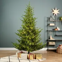 Everlands Norway verlichte kunstkerstboom groen 210cm, 900 lampjes - afbeelding 5