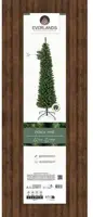 Everlands Pencil pine grote kunstkerstboom groen 240cm - afbeelding 2