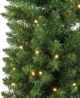 Everlands Pencil pine grote verlichte kunstkerstboom groen 210cm, 280 lampjes - afbeelding 3
