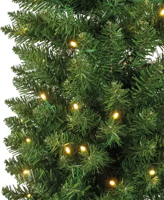 Everlands Pencil pine grote verlichte kunstkerstboom groen 210cm, 280 lampjes - afbeelding 3