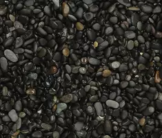 Excluton 25 kg Beach Pebbles Black 8-16 mm kopen?