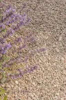 Excluton 25 kg Graniet split rood 8-16 mm - afbeelding 3