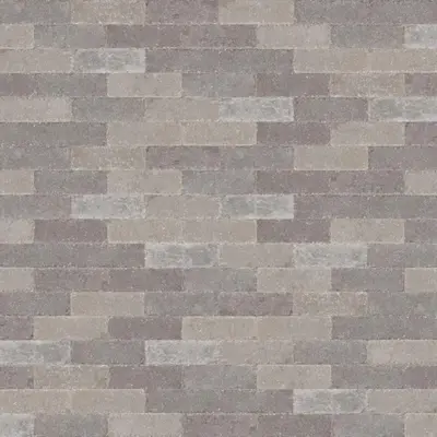 Excluton Abbeystones 15x5x7 cm Pomposa - afbeelding 1