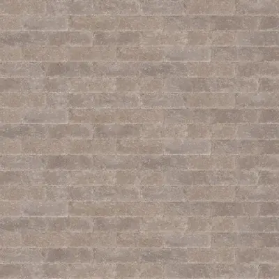 Excluton Abbeystones 15x5x7 cm Romena - afbeelding 1