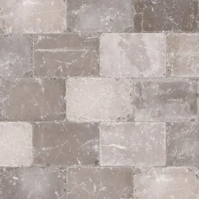Excluton Abbeystones 20x30x6 cm Casamari - afbeelding 1