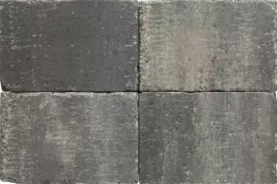 Excluton Abbeystones 20x30x6 cm grigio met deklaag - afbeelding 2
