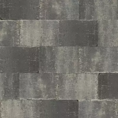 Excluton Abbeystones 20x30x6 cm grigio met deklaag - afbeelding 1