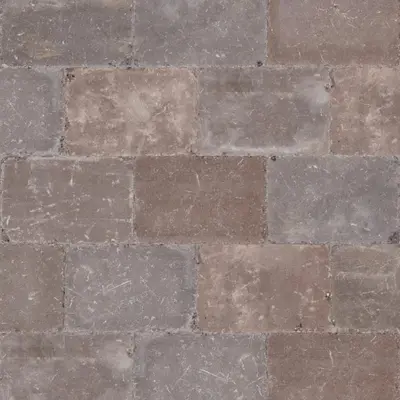 Excluton Abbeystones 20x30x6 cm Montecassio - afbeelding 1