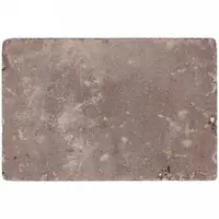 Excluton Abbeystones 20x30x6 cm Montecassio - afbeelding 9