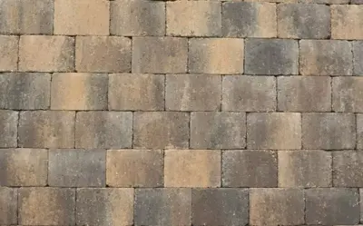 Excluton Abbeystones 30x40x6 cm giallo met deklaag - afbeelding 1