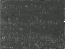 Excluton Abbeystones wildverband 6 cm nero met deklaag - afbeelding 3