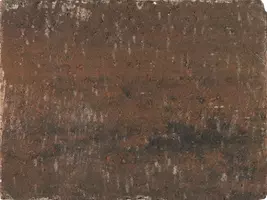 Excluton Abbeystones wildverband 6 cm zomerbont met deklaag - afbeelding 4
