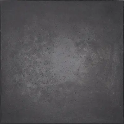 Excluton Optimum Tuintegel 60x60x4 cm Graphite - afbeelding 2