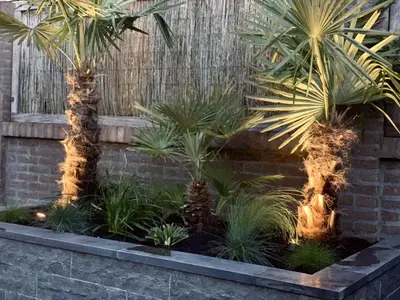 Excluton Siam bluestone vijverrand 100x15x3 cm verzoet (6 zijdes verzoet, 8 facetranden) - afbeelding 2