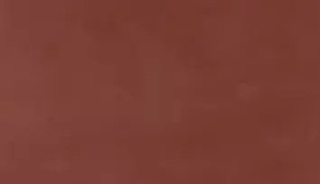 Excluton Tegel 15x30x4,5 cm rood met pallet (plat) - afbeelding 1