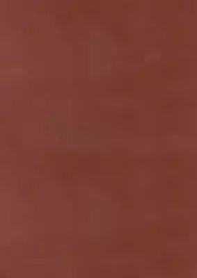 Excluton Tegel 40x60x5 cm KOMO rood - afbeelding 1