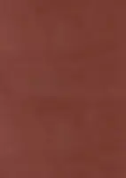 Excluton Tegel 40x60x5 cm KOMO rood - afbeelding 1