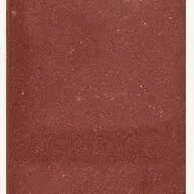 Excluton Tegel 40x60x5 cm KOMO rood - afbeelding 1