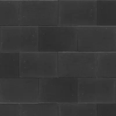 Excluton Terras+ Steen 20x30x4 cm Nero - afbeelding 1