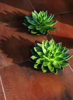 Excluton Terras+ Tegel 60x60x4 cm Summer - afbeelding 4