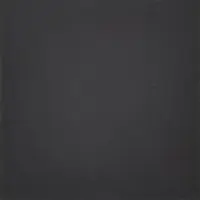 Excluton Terras+ Tegel Designo 60x60x4 cm Nero - afbeelding 1