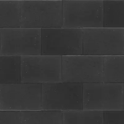 Excluton terrassteen+ 20x30x4 cm nero - afbeelding 1