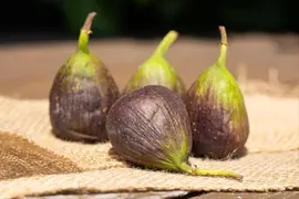 Ficus carica - afbeelding 37