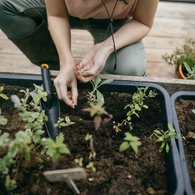Fiskars Solid Plantschepje - afbeelding 6