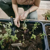 Fiskars Solid Plantschepje - afbeelding 6