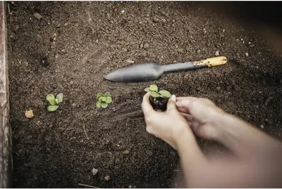 Fiskars Solid zaadplantschepje – 4-in-1 gereedschap - afbeelding 7