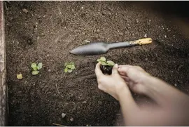 Fiskars Solid Zaadplantschepje – 4-in-1 multifunctioneel gereedschap - afbeelding 7