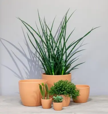 Floran bloempot Boule 7.5x6cm toscane - afbeelding 2