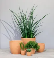 Floran bloempot Boule 7.5x6cm toscane - afbeelding 2