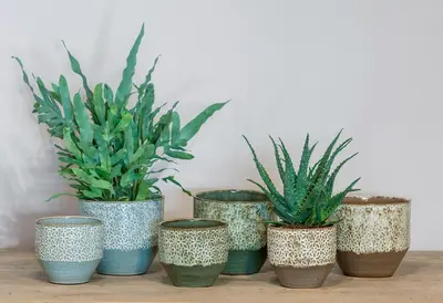 Floran Bloempot Fariah 20x19cm Bruin - afbeelding 2