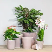 Floran Bloempot Luz 13x13cm Lila - afbeelding 2
